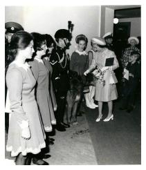 The Queen meets Brian Boru